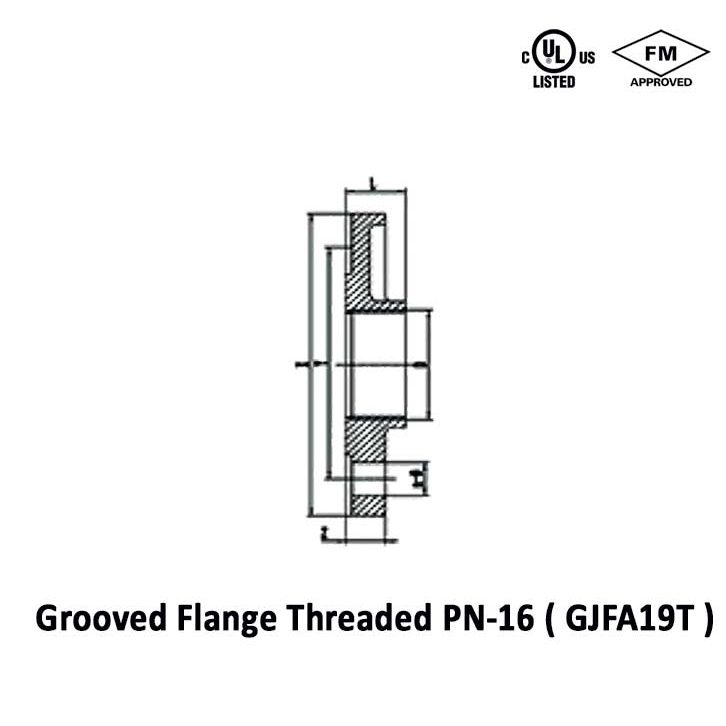 Grooved Flange Threaded PN-16